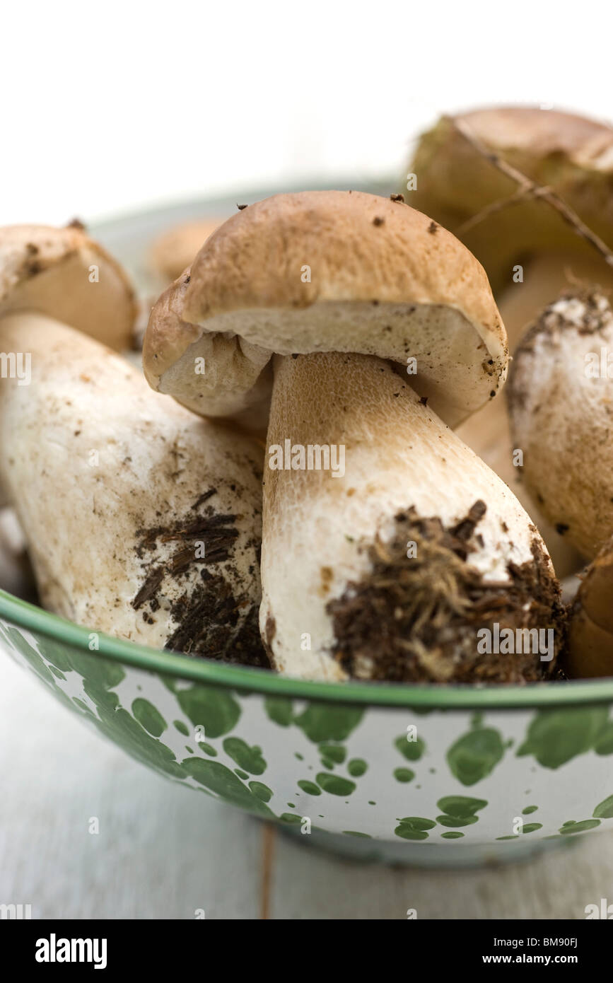 Porcini mushrooms in bowl Stock Photo