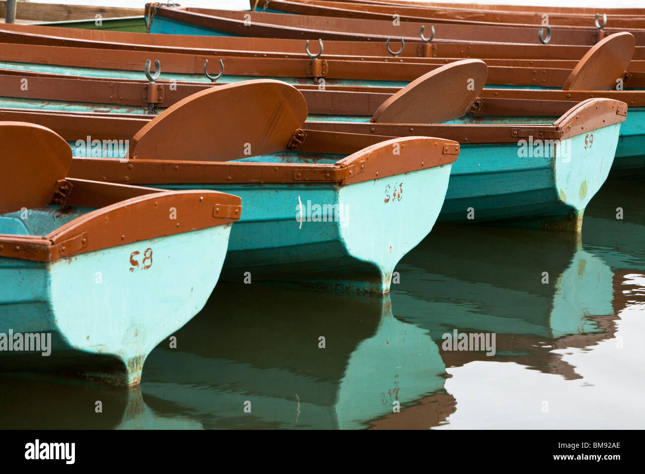 Moored hire rowing boats in the early moring on the River Thames at