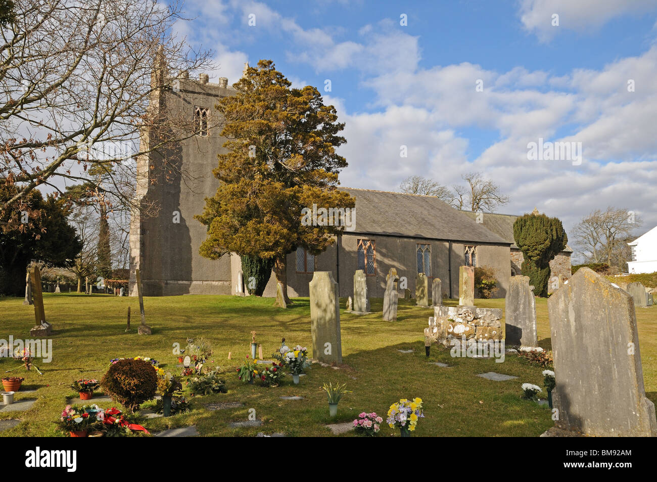 Gravestones and flowers in graveyard of St Cuthbert’s Church Aldingham Cumbria with yew tree Stock Photo