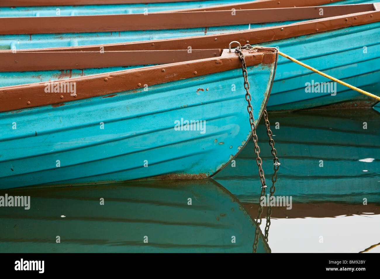 Moored hire rowing boats in the early moring on the River Thames at