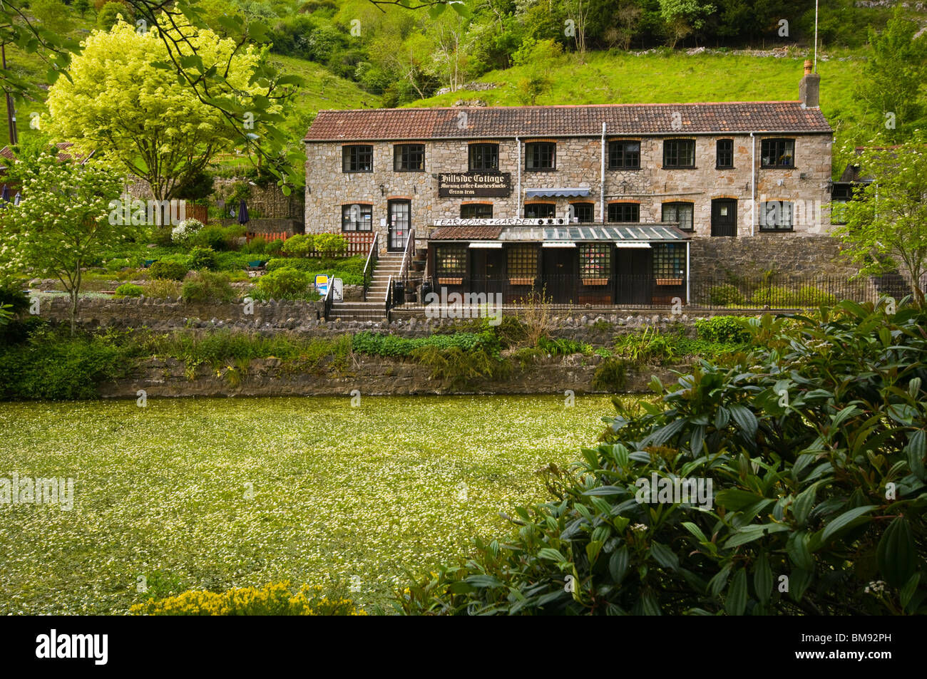 Hillside Cottage Tea Rooms On The Mill Pond Cheddar Gorge Somerset