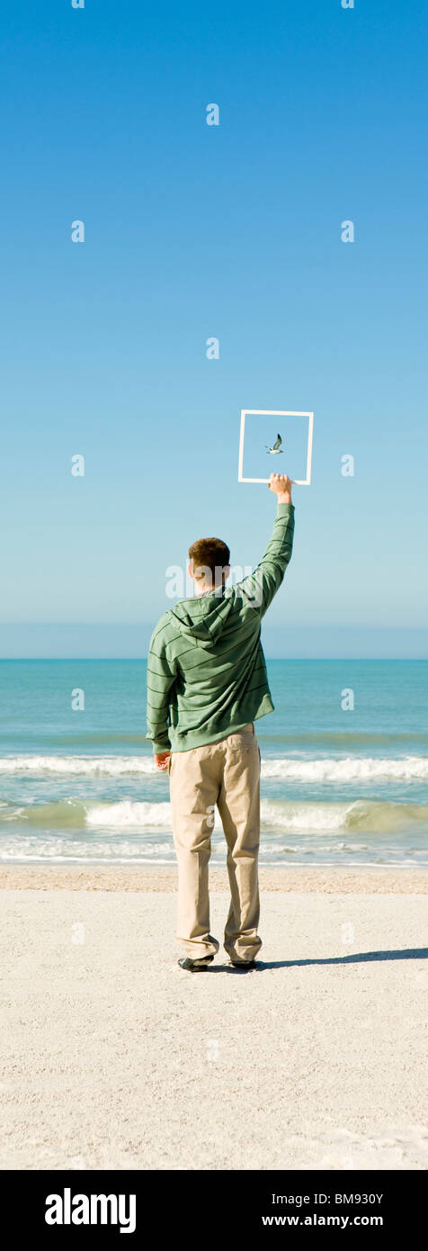 Man on beach holding up picture frame capturing image of gull flying against blue sky Stock Photo