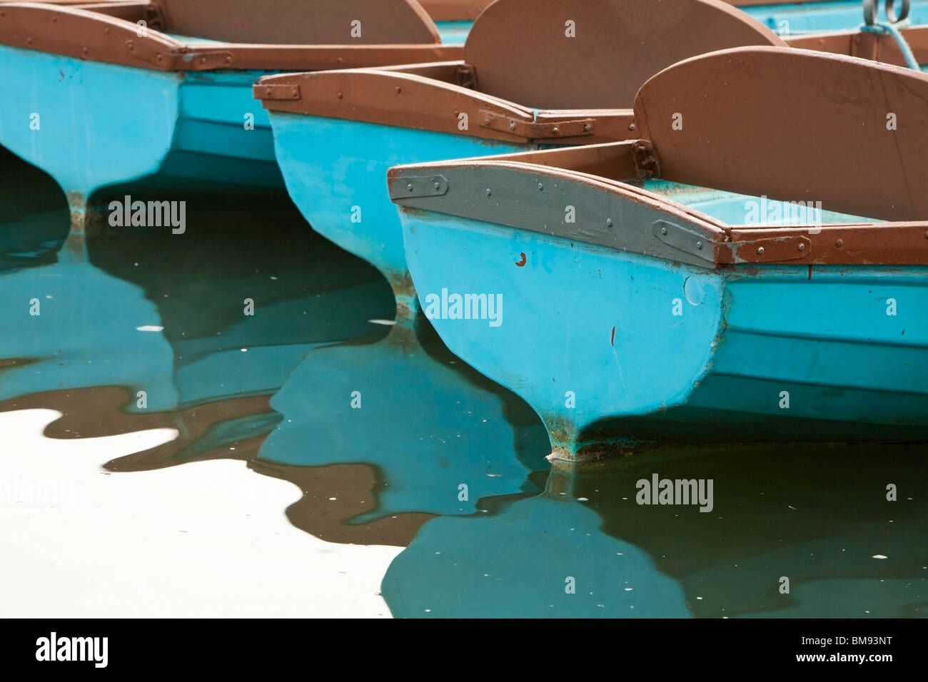 Moored hire rowing boats in the early moring on the River Thames at