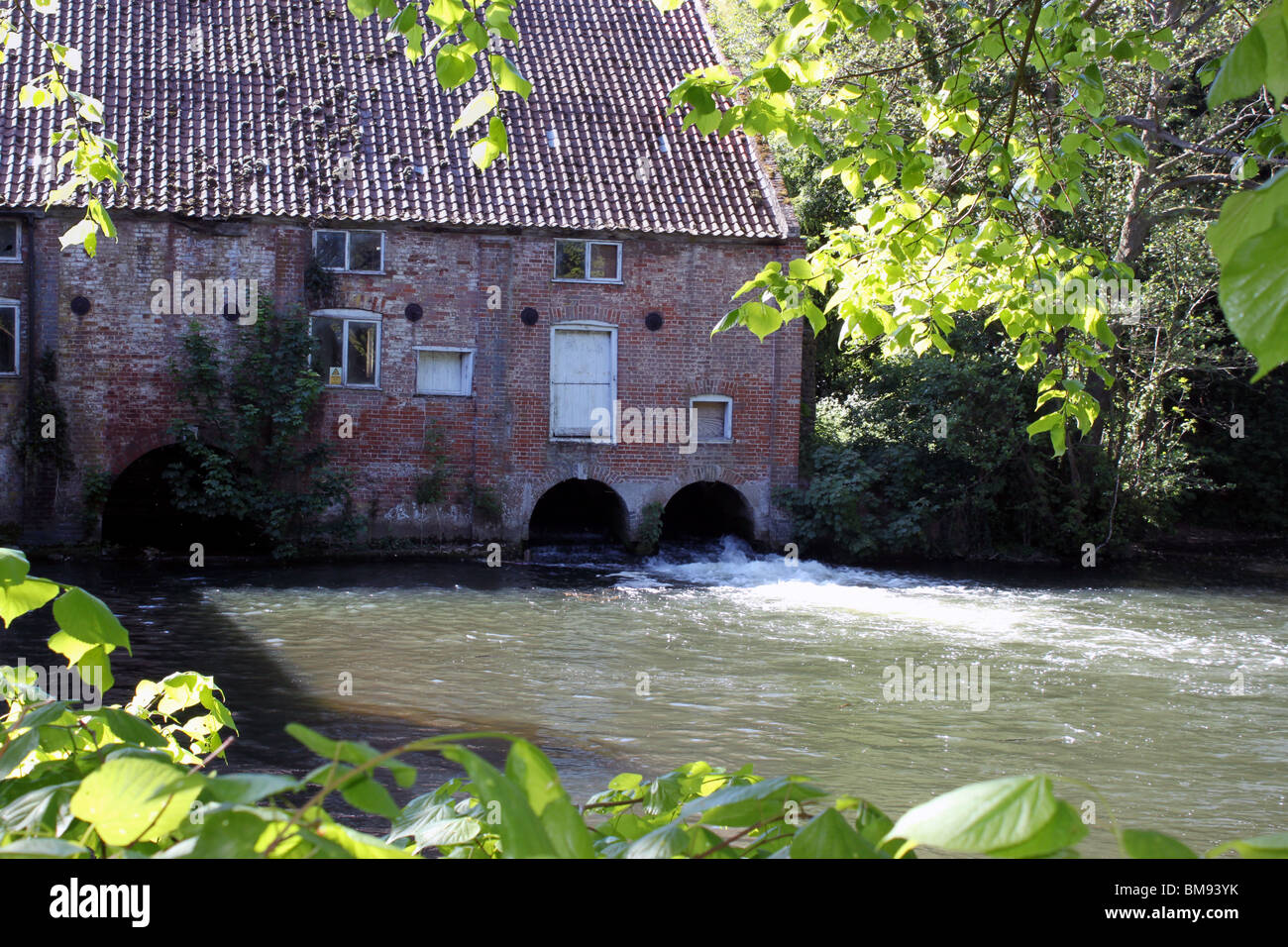Mill pond at Aylsham watermill on the River Bure, Norfolk, UK Stock