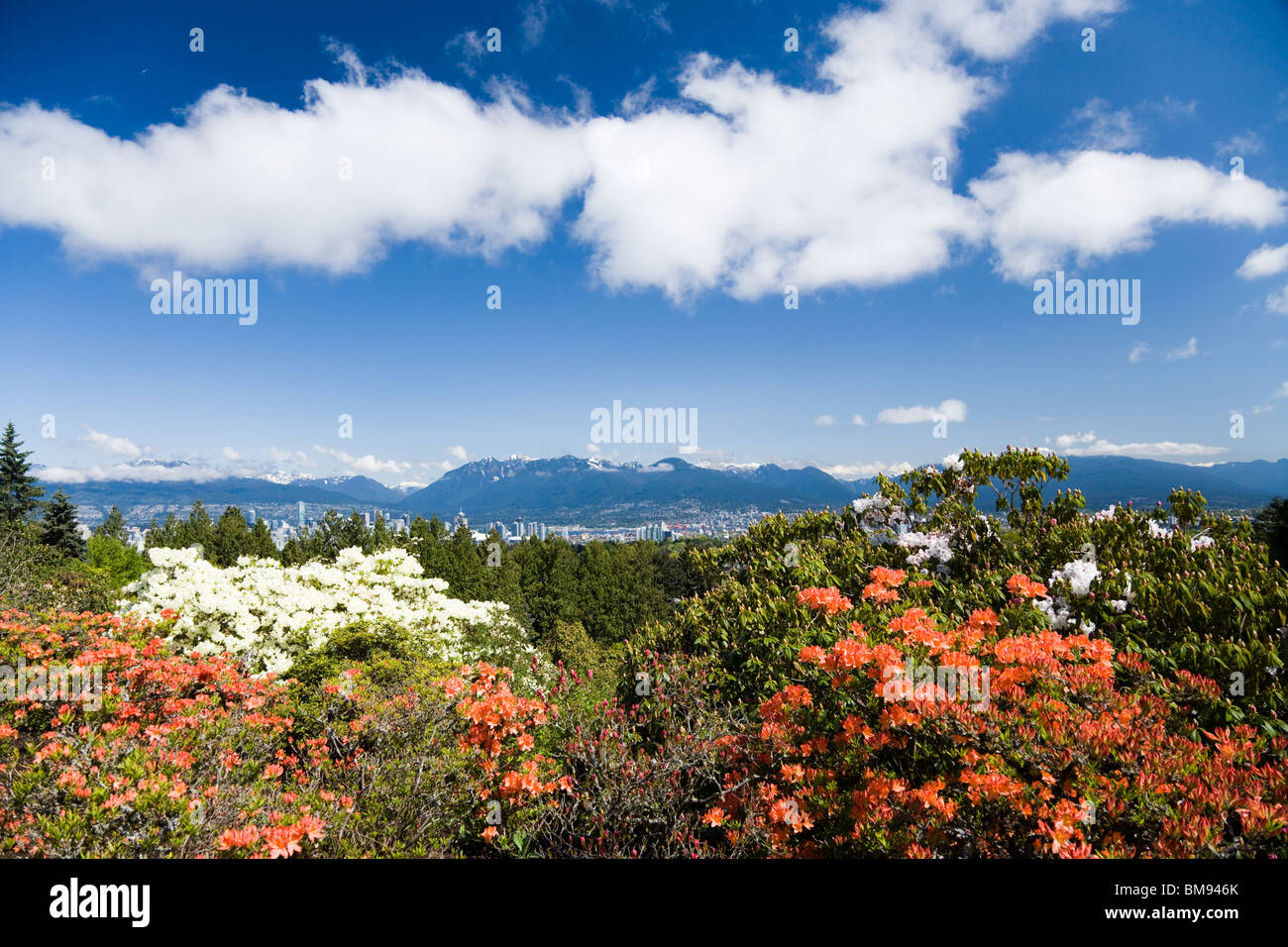 view of downtown vancouver Stock Photo - Alamy