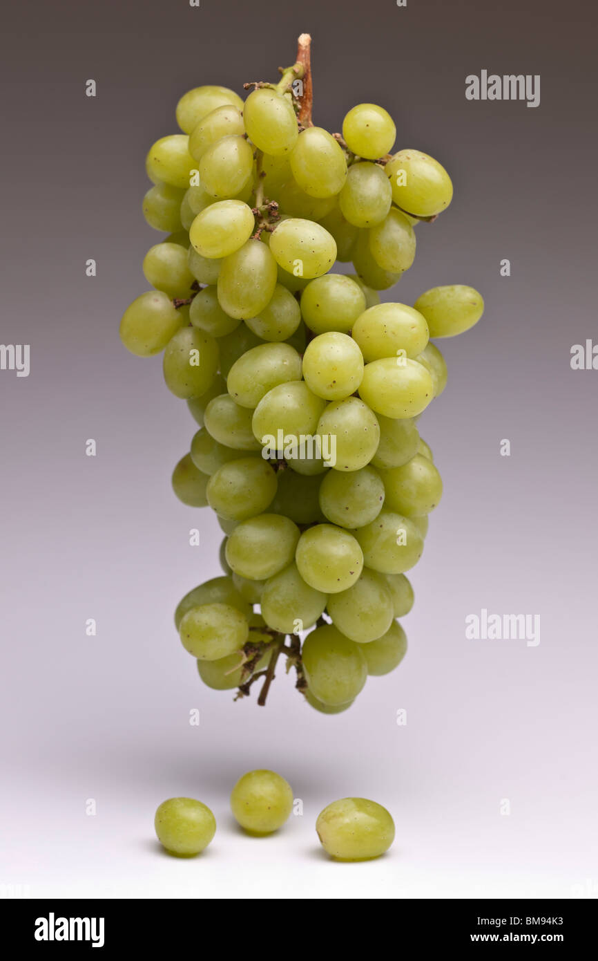 Bunch of green ripe grapes Stock Photo