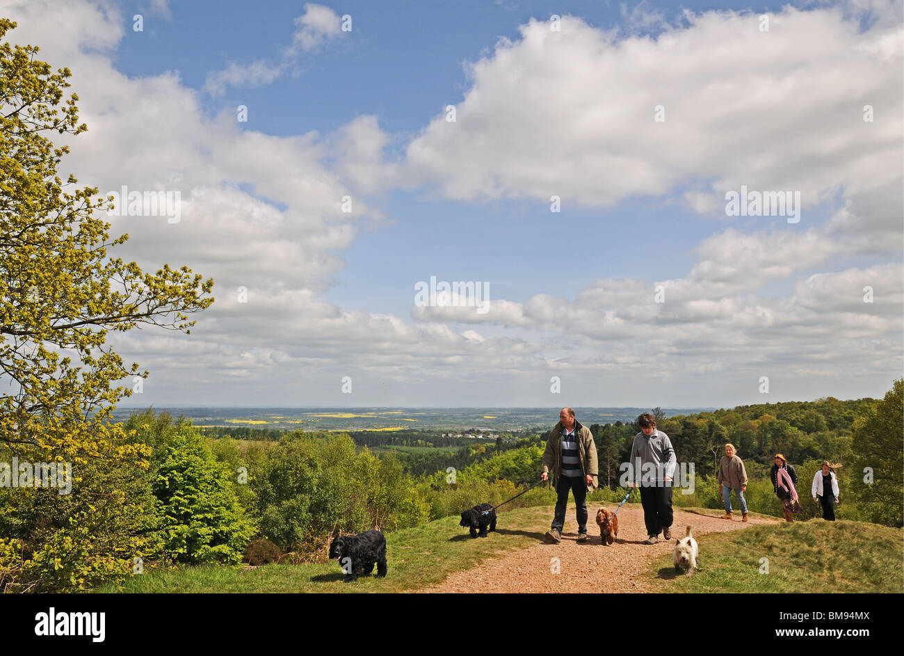 Family with dogs walking at Castle Ring Iron Age Fort Cannock Chase Staffordshire England Stock Photo