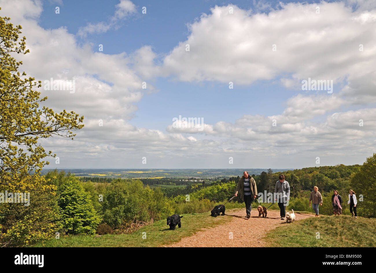 Family with dogs walking at Castle Ring Iron Age Fort Cannock Chase  Staffordshire England Stock Photo - Alamy