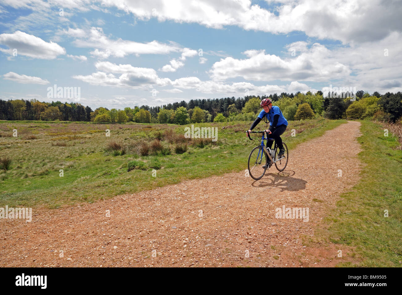 Mature male cyclist cycling on path round Castle Ring Iron Age fort on Cannock Chase Staffordshire England Stock Photo