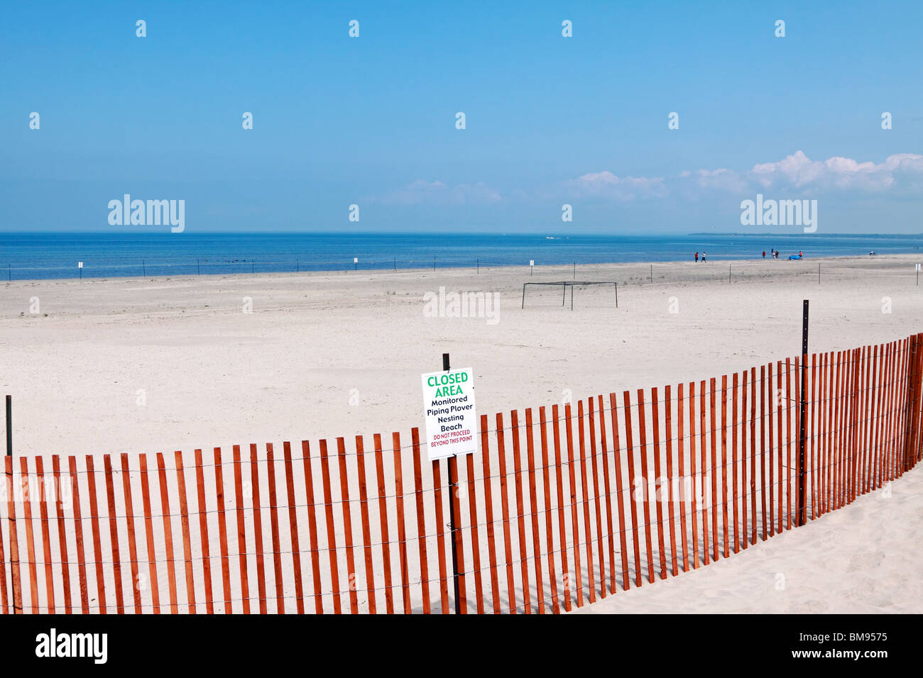 Highly endangered piping plover nest protected by fence and netting closure in Wagasa Beach Ontario Stock Photo