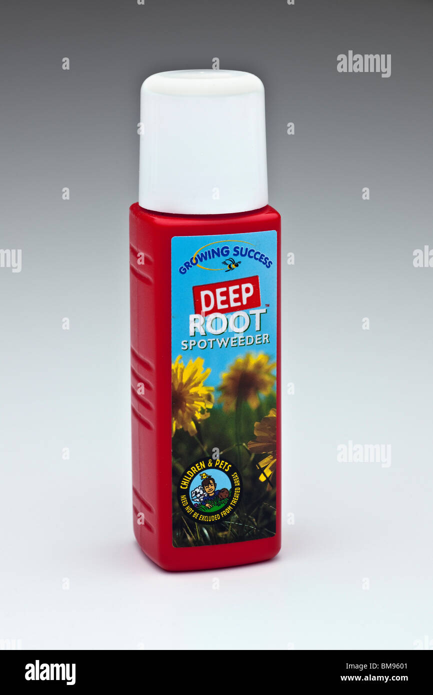 Container of Growing success deep root spotweeder Stock Photo