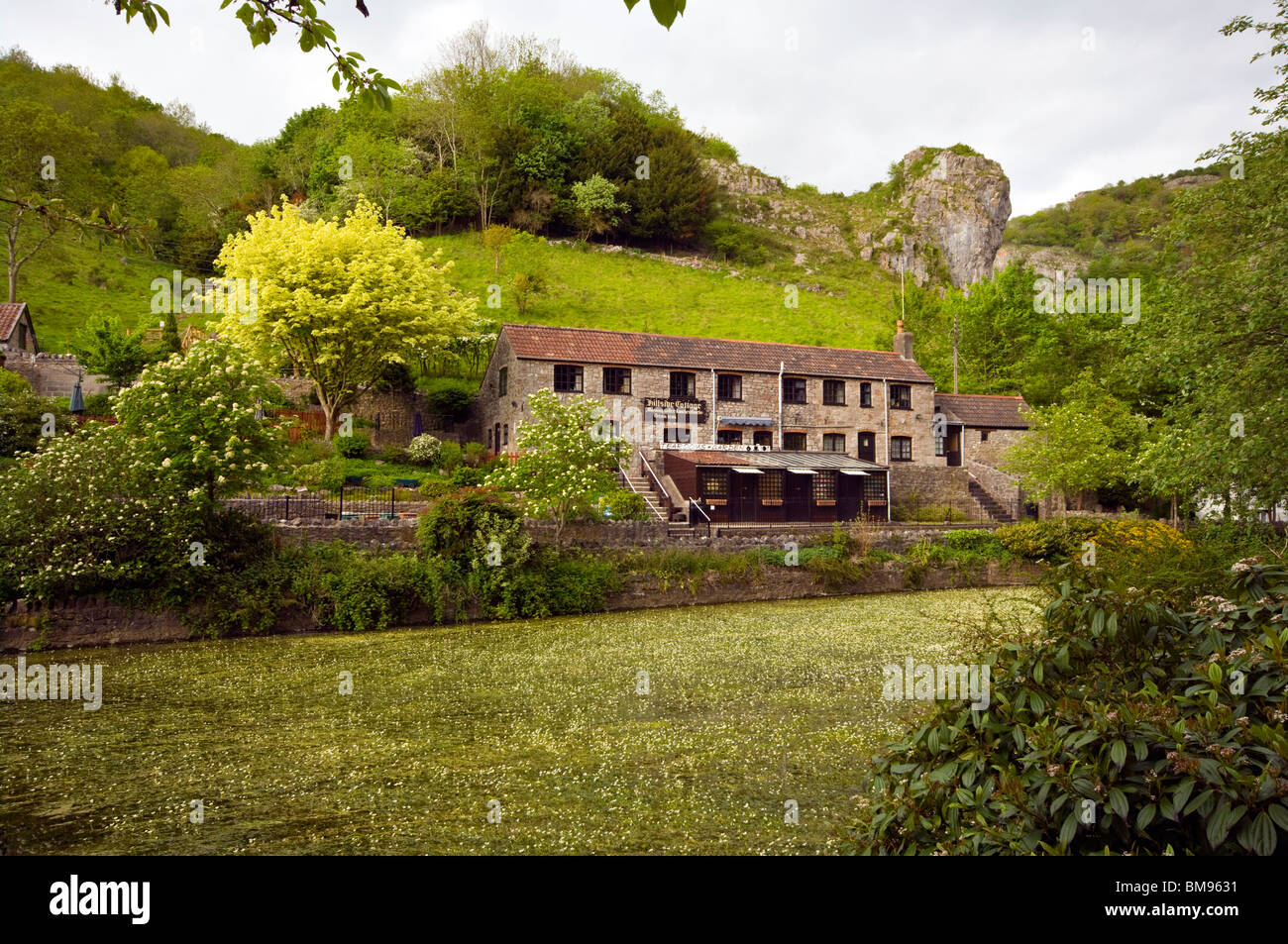 Hillside Cottage Tea Rooms On The Mill Pond Cheddar Gorge Somerset