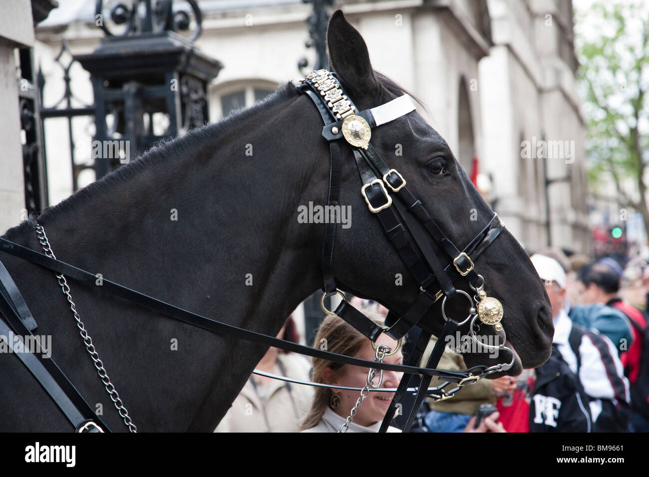 The Blues and Royals of the Household Cavalry taking part in the  Dismounting Ceremony, or 4 'O' Clock Parade, at the Horse Guards, London,  UK Stock Photo - Alamy