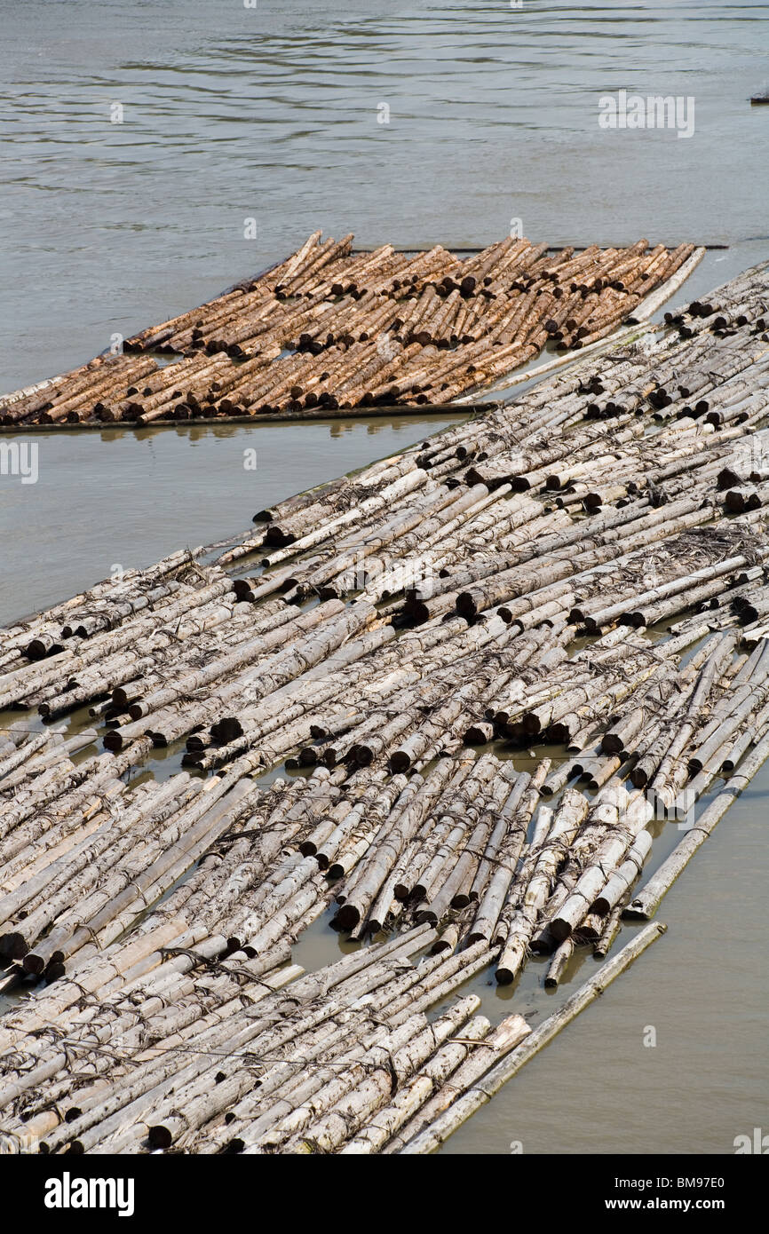 Log and Lumber Floating On Water Stock Photo