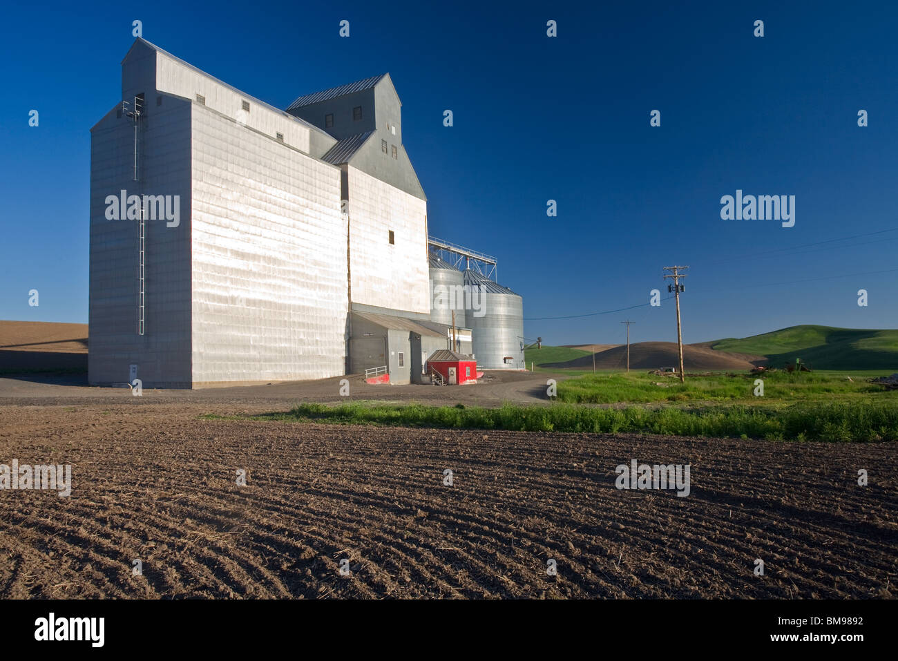 Whitman County, WA Rosalia grain elevator and silos rise above the
