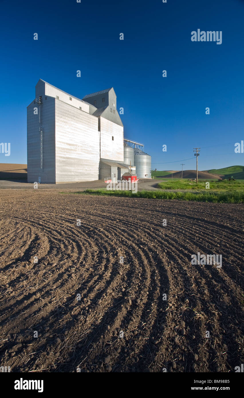 Whitman County, WA: Rosalia grain elevator and silos rise above the ...