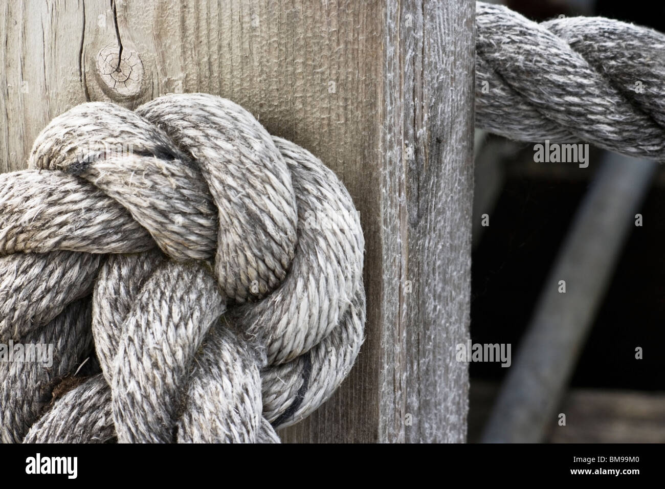 Large rope knot that is securing a rope railing on dock Stock Photo - Alamy