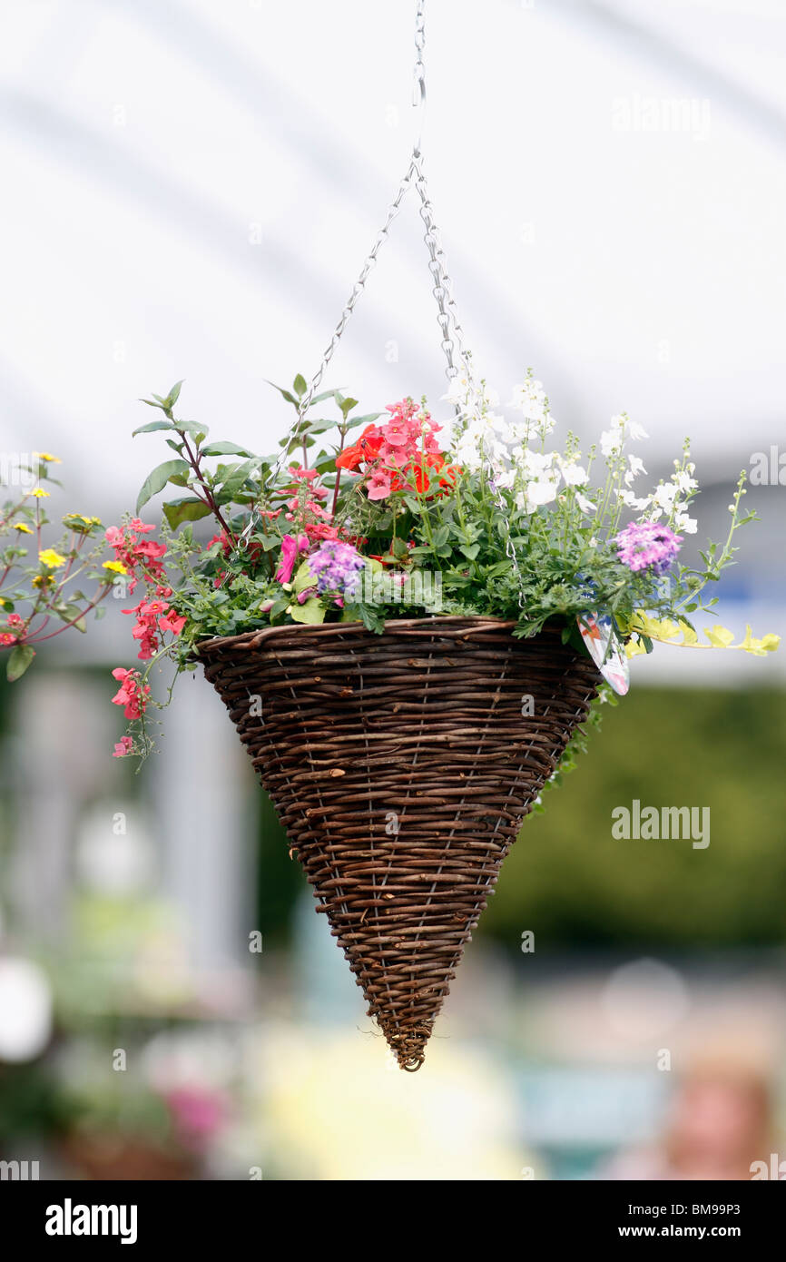 Hanging basket country classics, flowers blooms pastels Brookfields