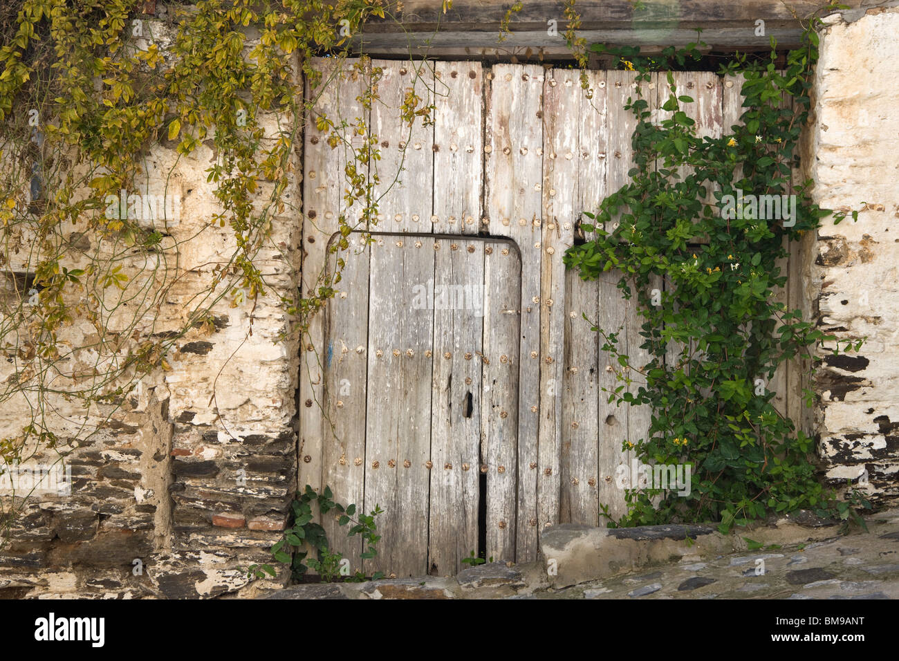Wooden Door, Macharaviaya Inland, Costa Del Sol, Malaga Province, Spain Stock Photo