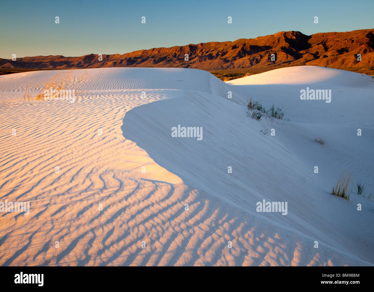 Salt Basin Dunes, Guadalupe Mountains National Park, Texas Stock Photo