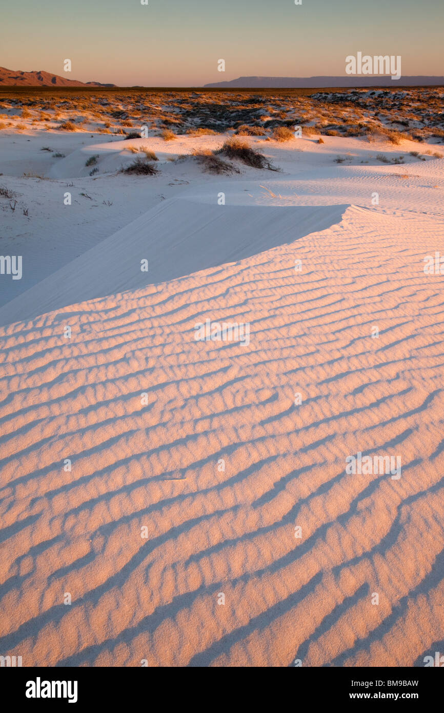 Salt Basin Dunes, Guadalupe Mountains National Park, Texas Stock Photo