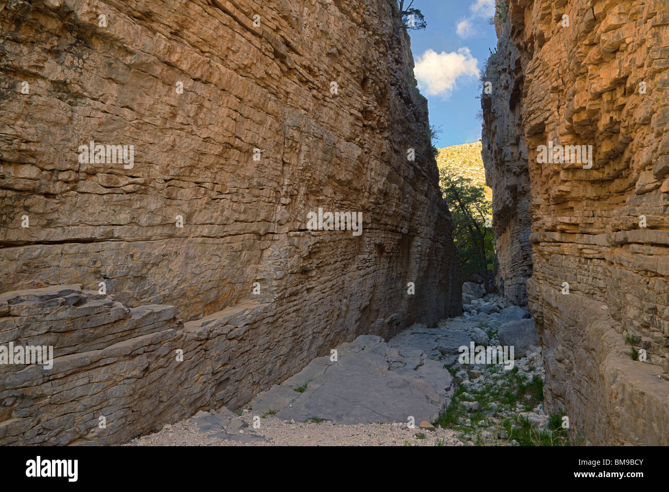 Devil's Hall, Pine Spring Canyon, Guadalupe Mountains National Park, Texas Stock Photo
