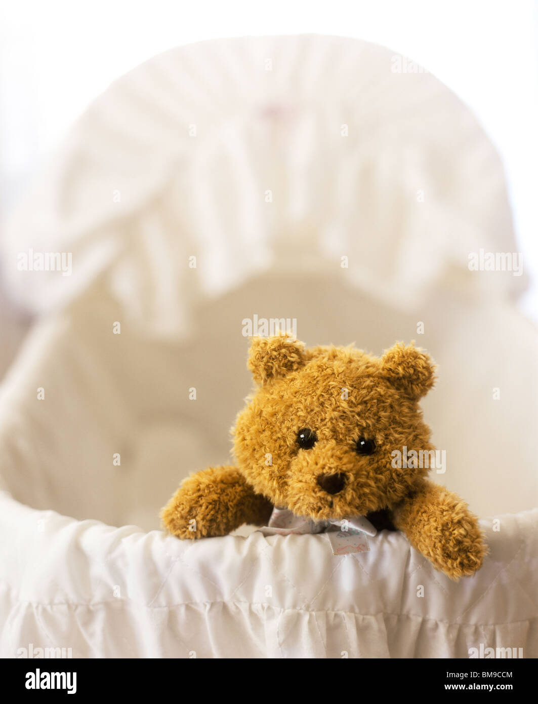 Studio shot of a Stuffed Teddy bear in a Baby Bassinet Stock Photo