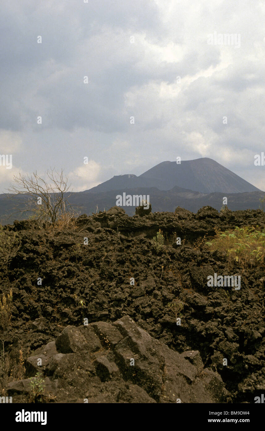 Lava fields and Volcan Paricutin volcano, a cinder cone volcano in Michoacan, Mexico Stock Photo