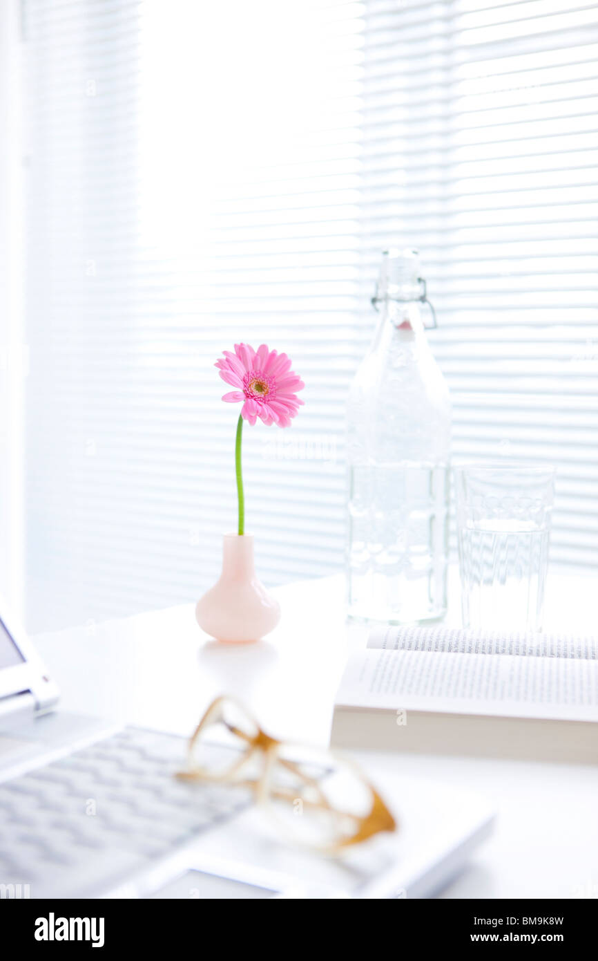 Vase of pink gerbera daisy on desk Stock Photo Alamy