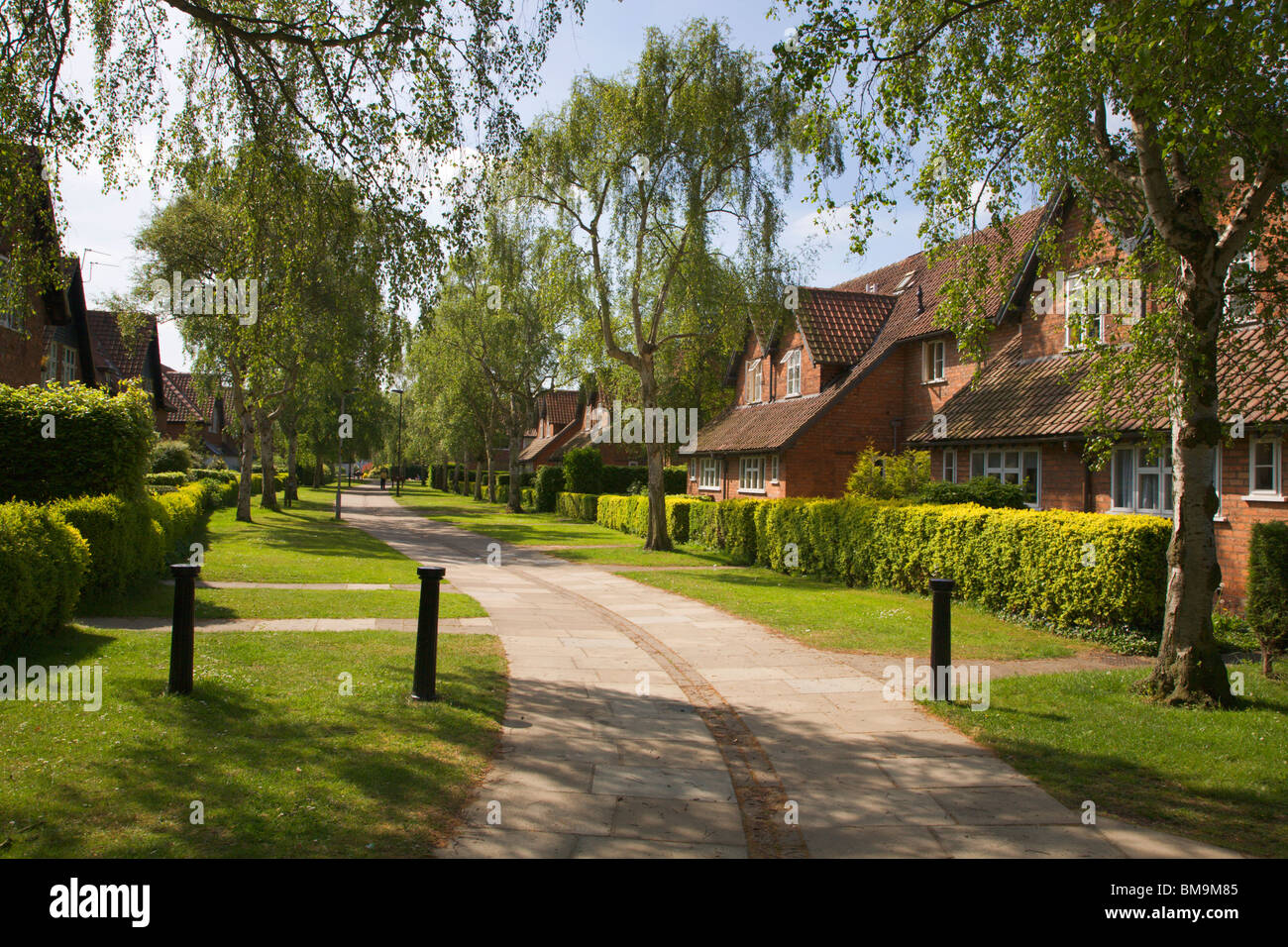Chestnut grove new earswick hires stock photography and images Alamy