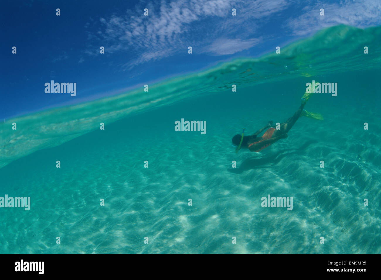 Woman snorkeling Okinawa Prefecture Japan Stock Photo Alamy