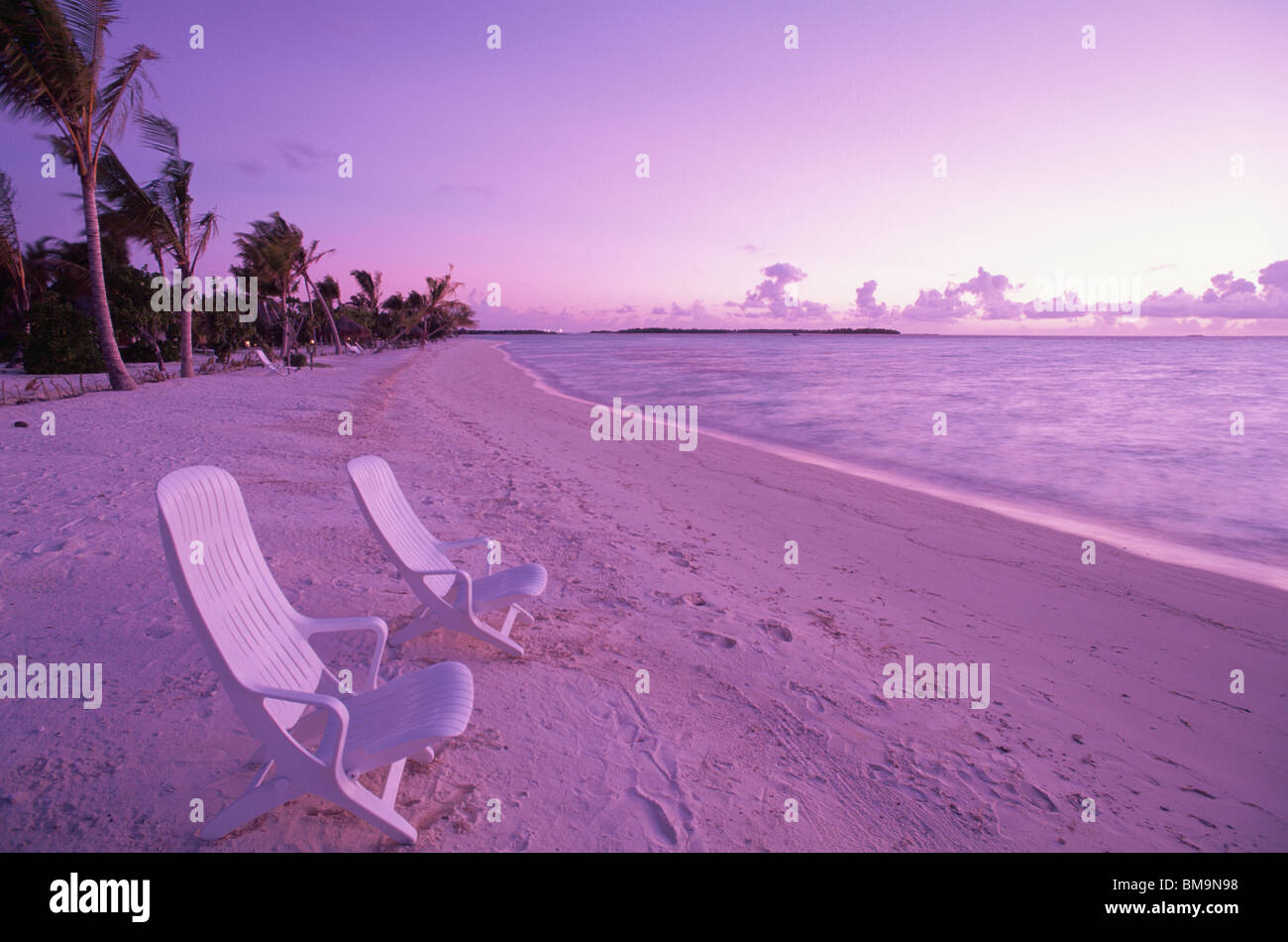 Palm tree two deck chairs hi-res stock photography and images - Alamy
