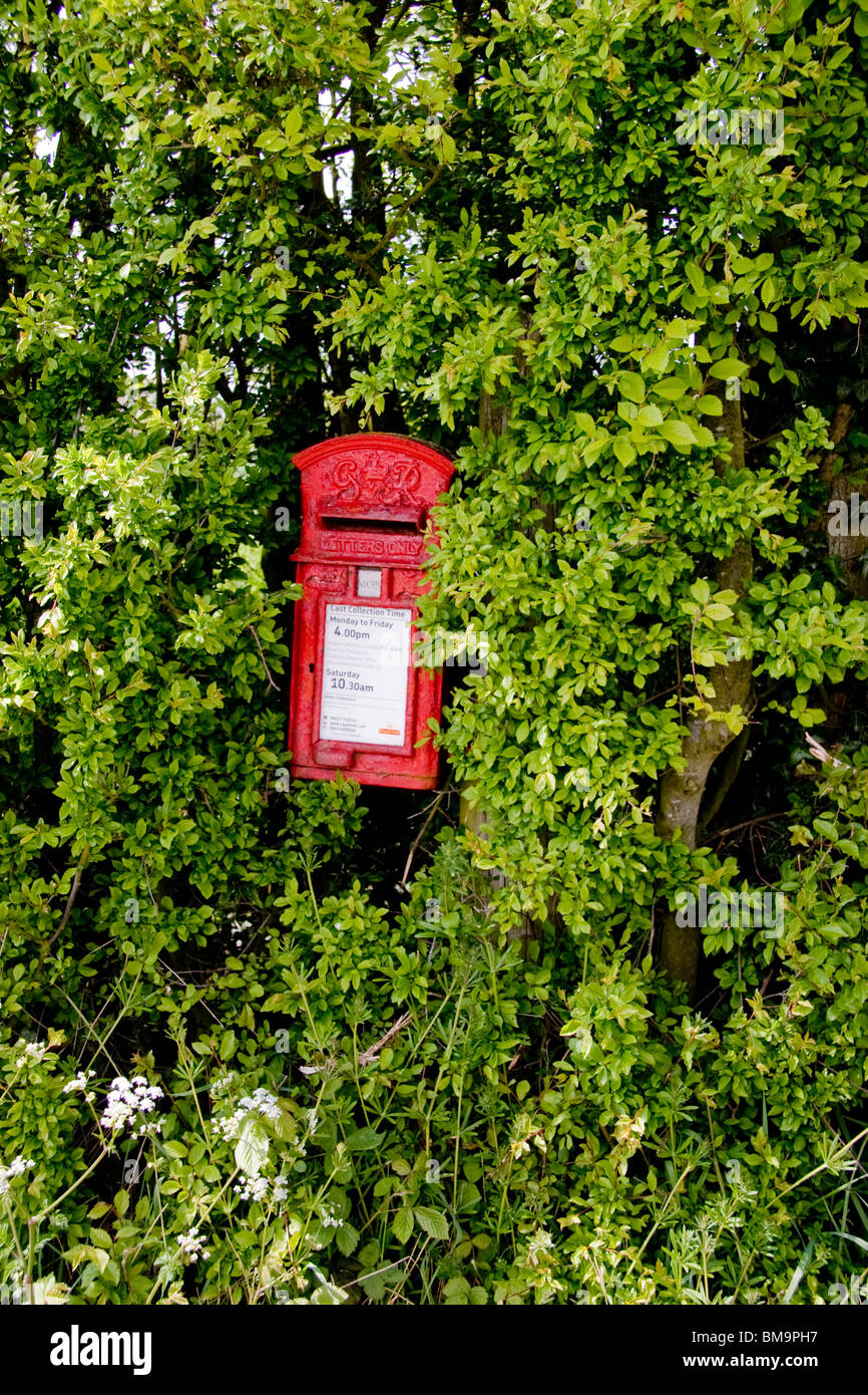 Old post box strapped to a tree in Edwardstone Suffolk England and still in use. Stock Photo