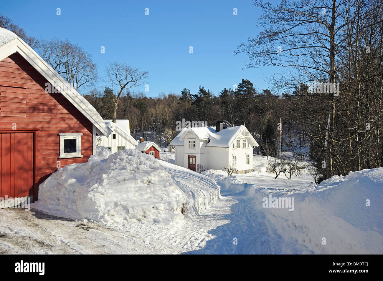 Winter view of farmhouses on the island of Skilsoy , a small island near Tromoy across the harbour from Arendal Stock Photo