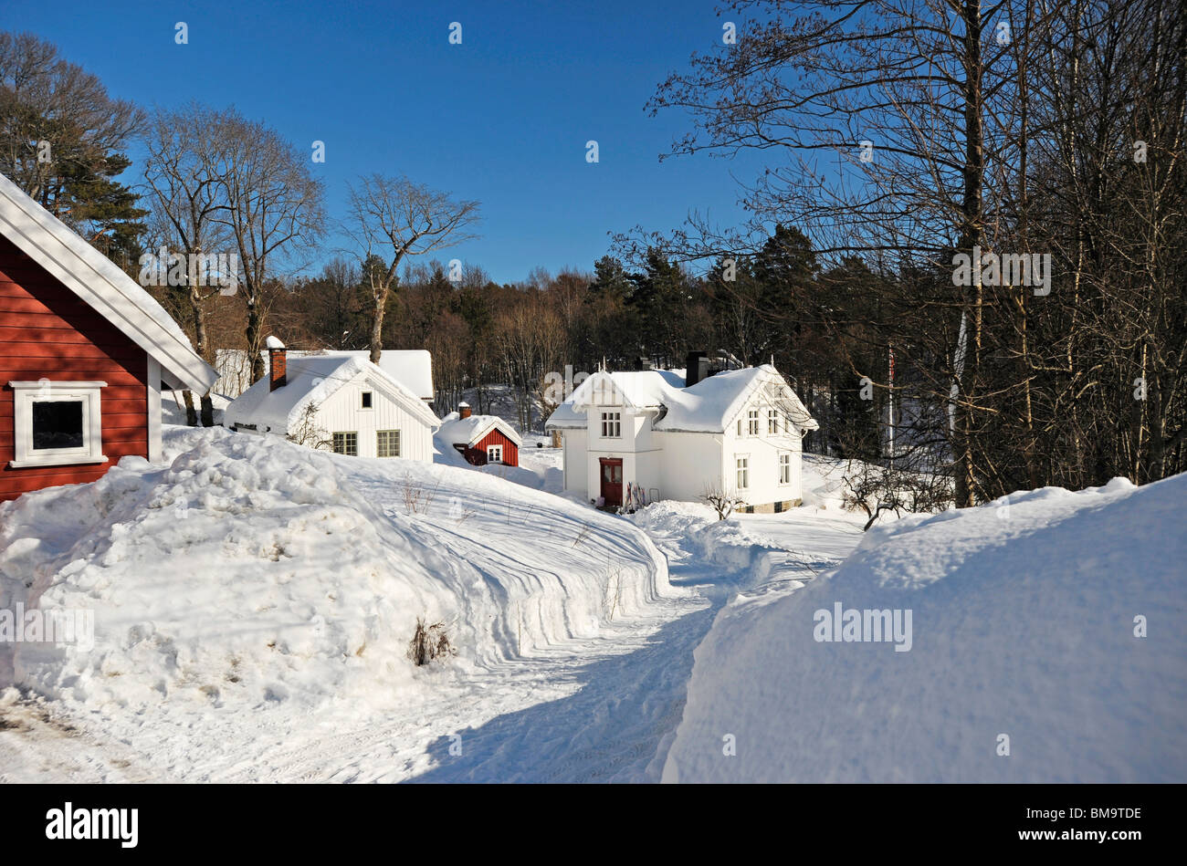 Winter view of farmhouses on the island of Skilsoy , a small island near Tromoy across the harbour from Arendal Stock Photo