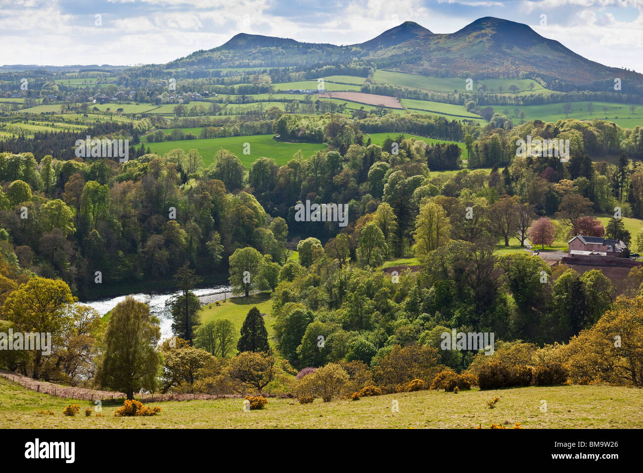 The Eildon Hills in the Scottish Borders UK in springtime - Scott's ...
