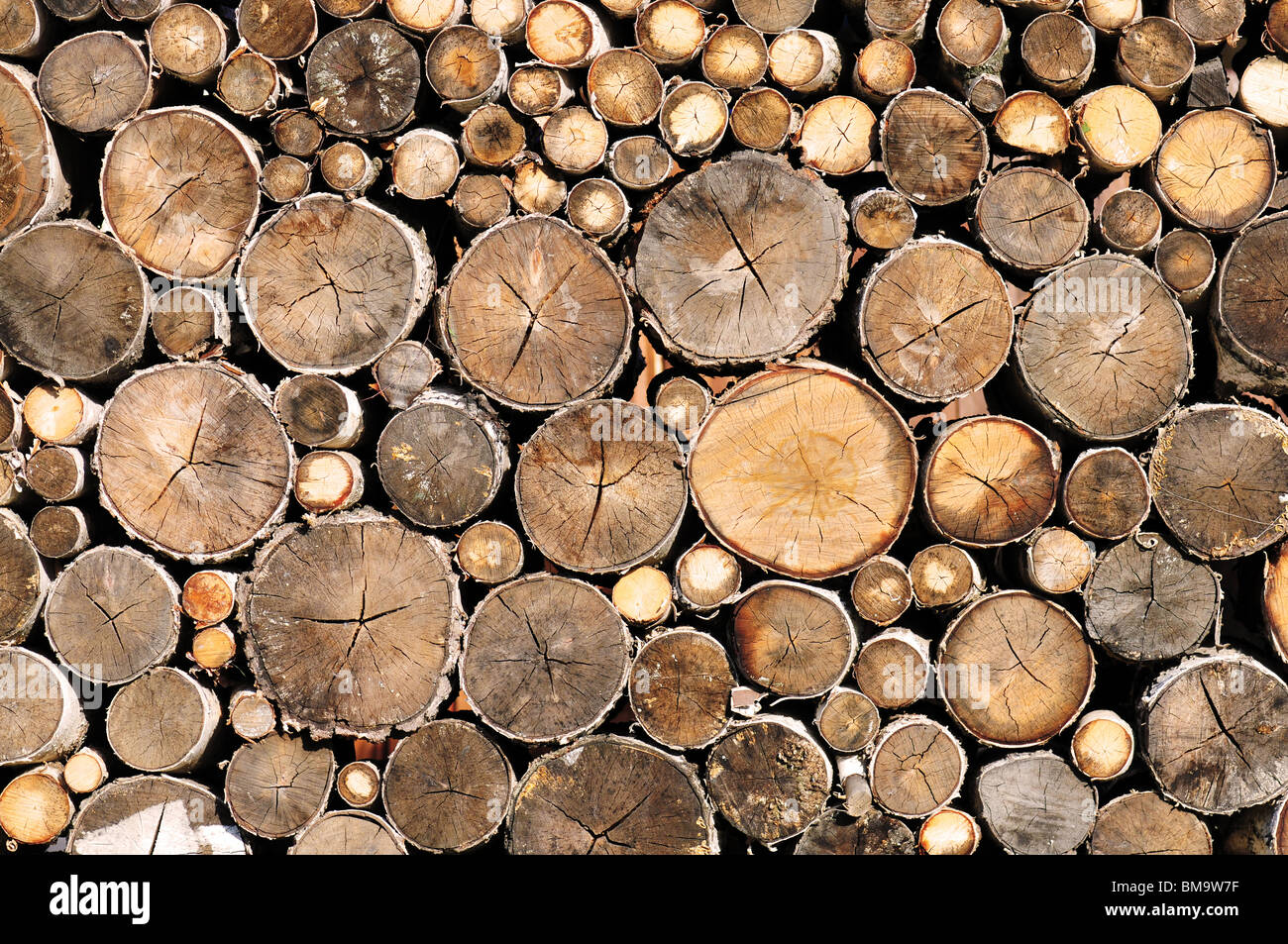 wall of log wood texture or background Stock Photo