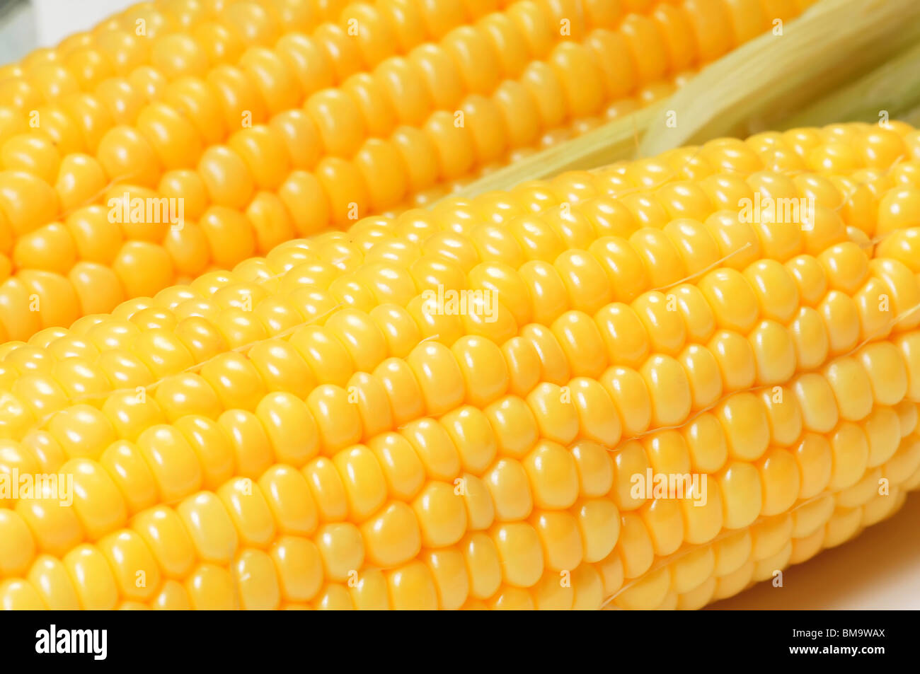 Corn cob closeup view for background or texture Stock Photo