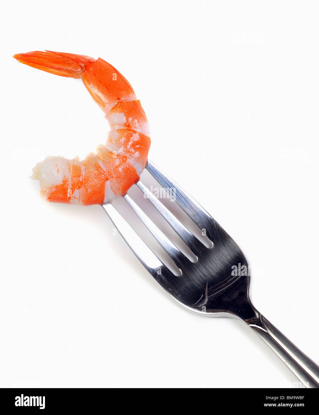 Single shrimp tail on a fork over white background Stock Photo