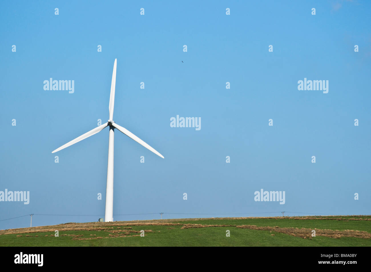 Turbine power generation from wind - windfarm on the southern edge of the Lammermuir Hills near Duns, Scottish Borders UK Stock Photo