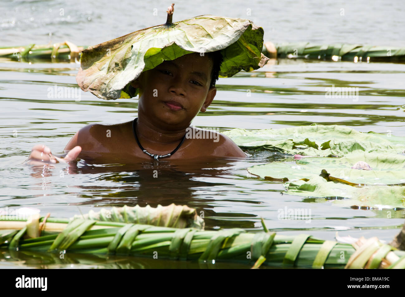 lotus leaf hat