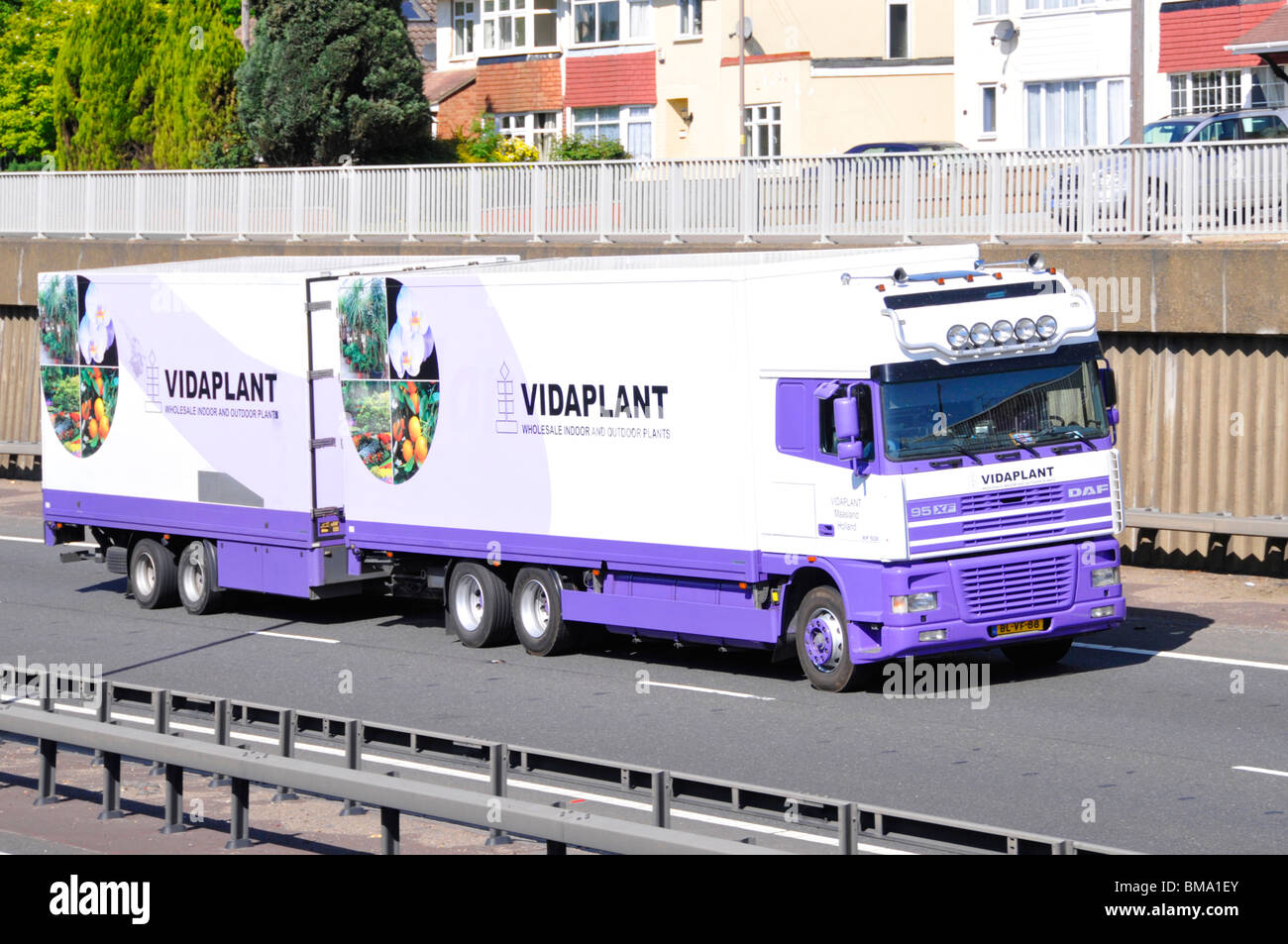 Dutch Vidaplant plant delivery lorry and trailer on A12 dual carriageway Stock Photo