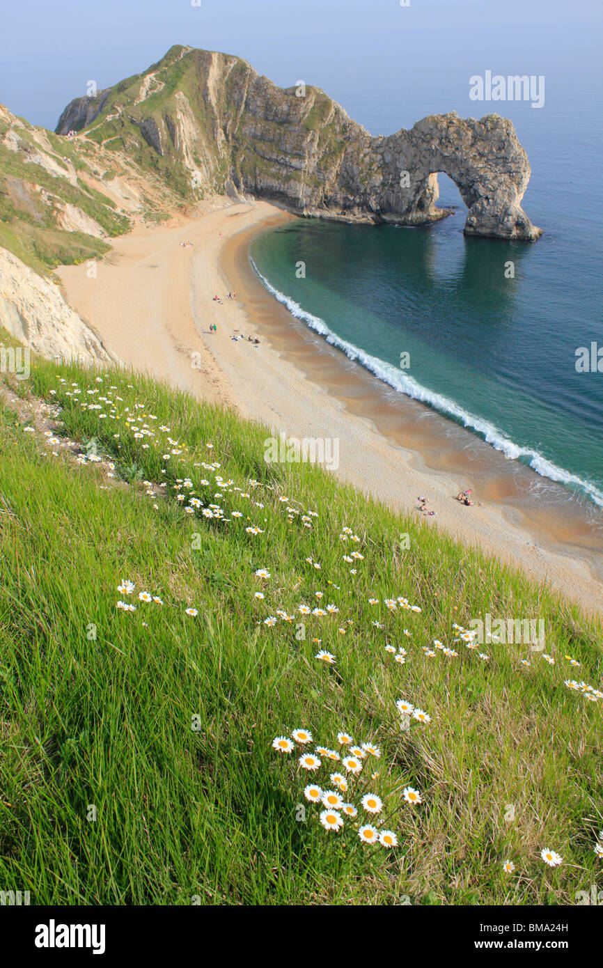 Durdle Door natural limestone arch on the Jurassic Coast near West Lulworth in Dorset, Englang uk gb Stock Photo
