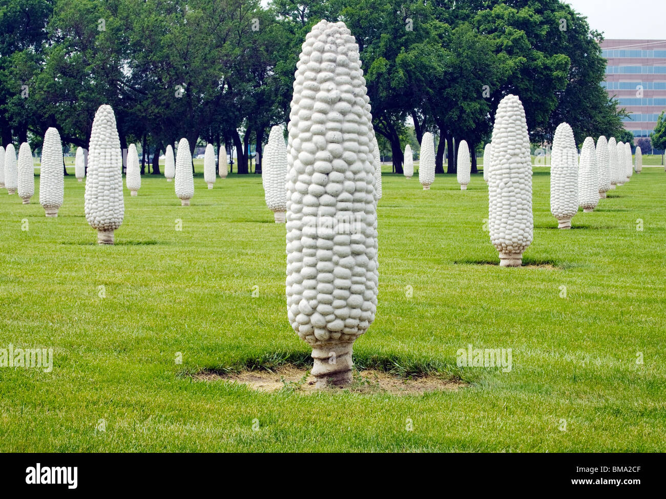 Field of Concrete Corn in Dublin Ohio Stock Photo Alamy