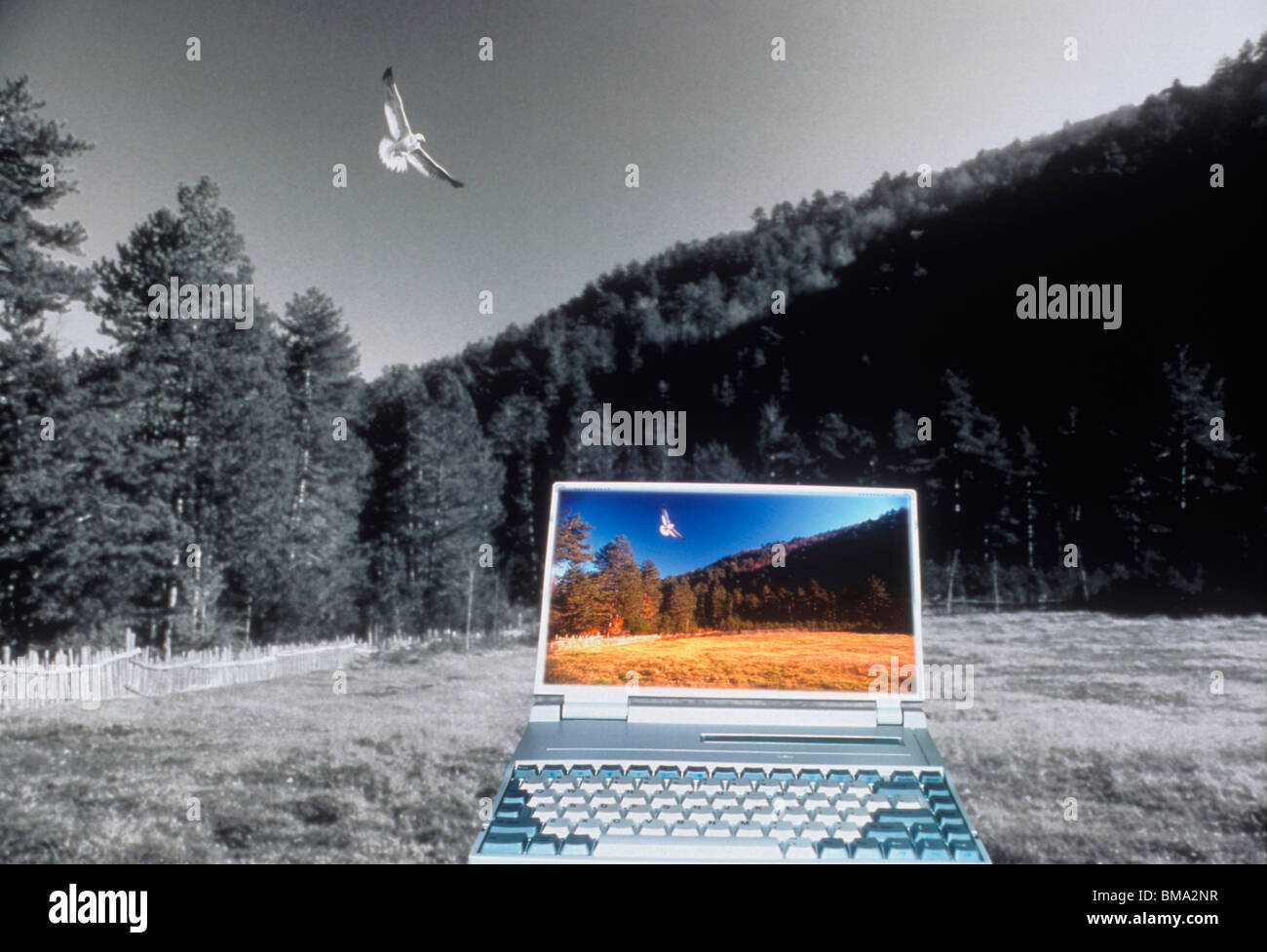 Wireless technology outdoors. Laptop computer Stock Photo - Alamy