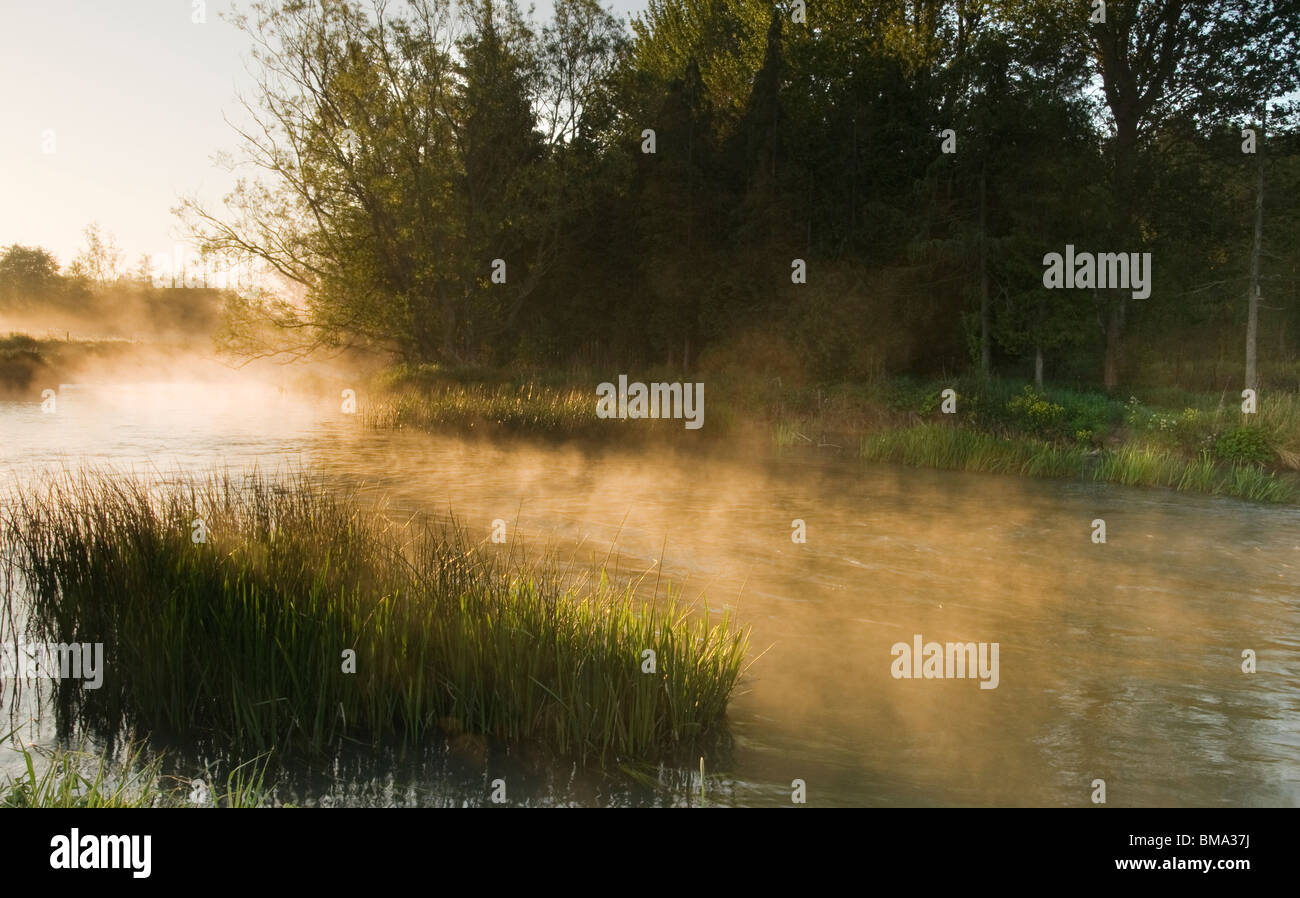 Cotswolds - Mist over the River Windrush at dawn Stock Photo