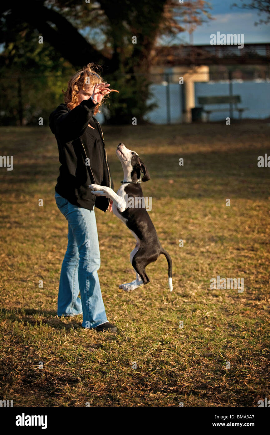 Image of a woman with dog jumping doing tricks Stock Photo