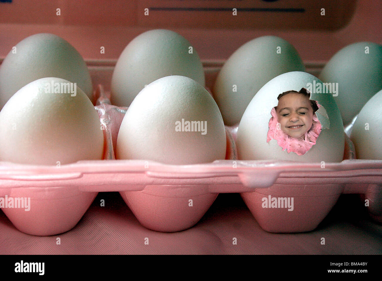 Egg crates hires stock photography and images Alamy