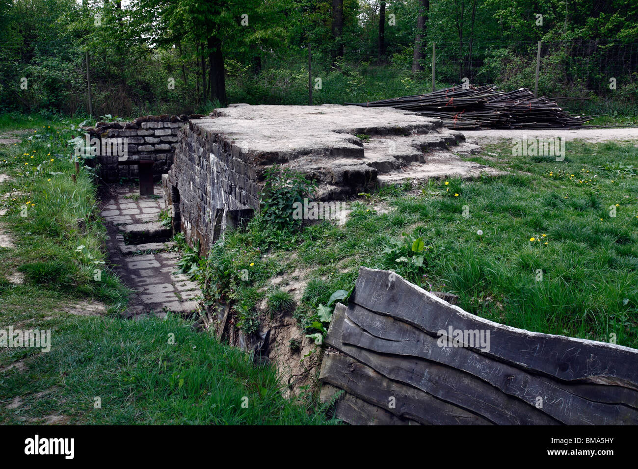 The World War One German 'Bayernwald' trench system near Ypres in Belgium.  Many of the trenches have been restored Stock Photo - Alamy