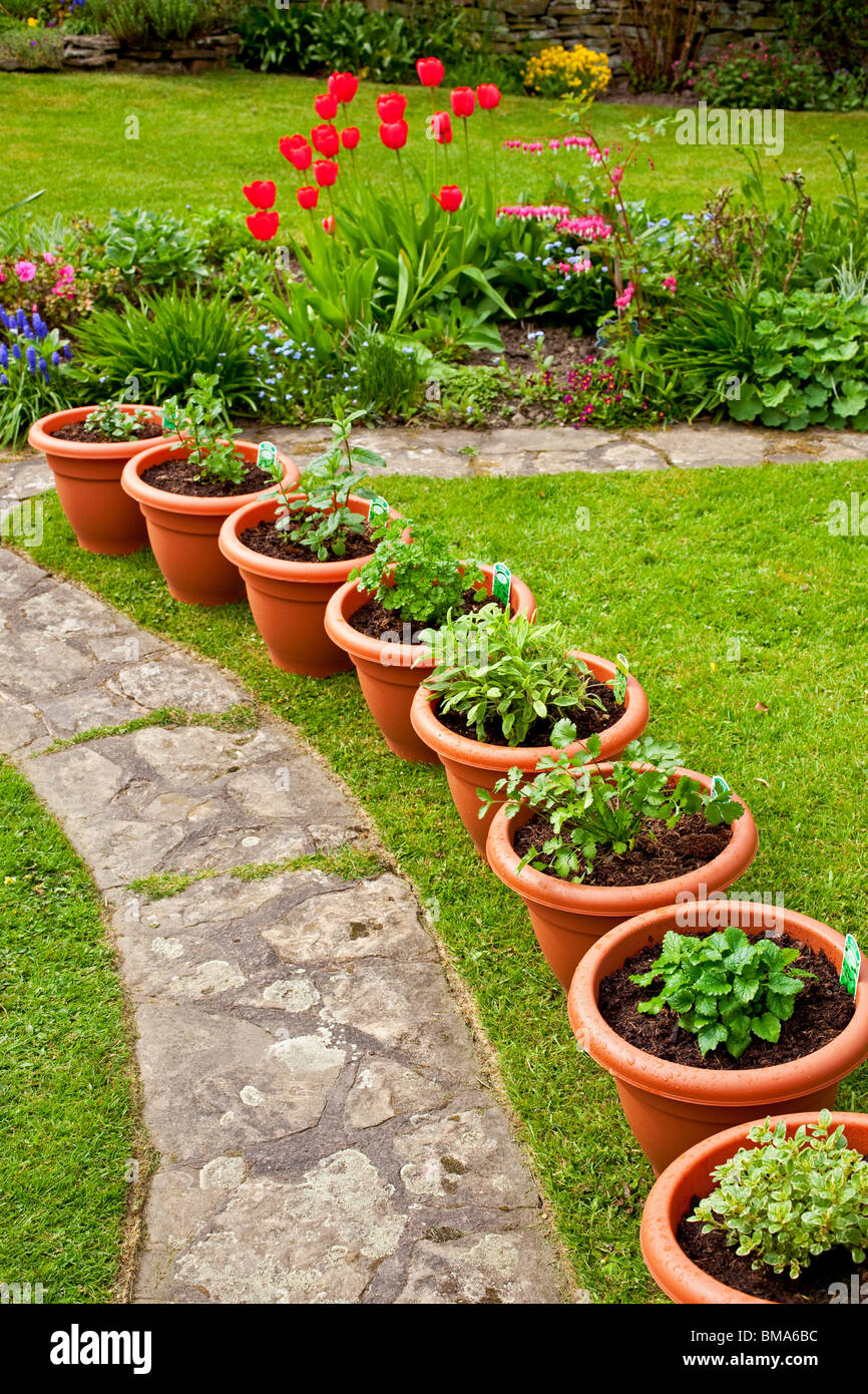 Row of plant pots hires stock photography and images Alamy